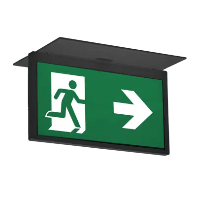 Image for Elya plafond emergency lighting