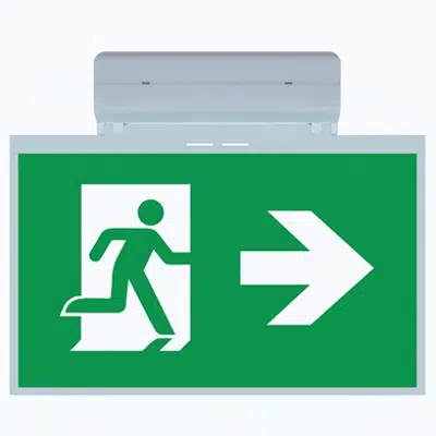 Immagine per Exitalya Maxi Surface emergency lighting