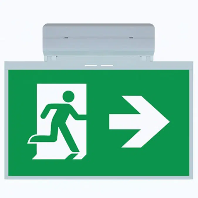 Exitalya Maxi Surface emergency lighting