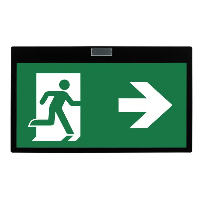 Elya mural emergency lighting