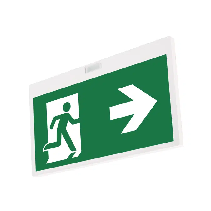 Elya mural emergency lighting