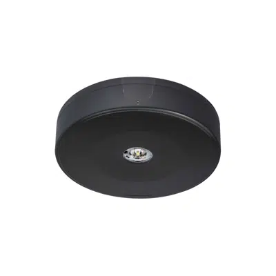 kép a termékről - Space Supra Surface Mounted Emergency Luminaire