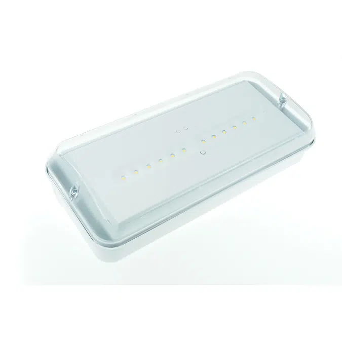 Diana/Xena IP66 emergency lighting