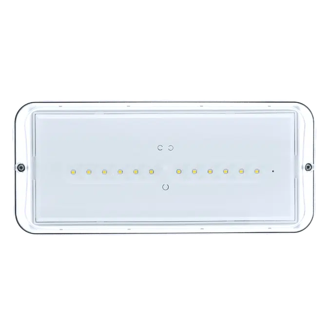 Diana/Xena IP66 emergency lighting