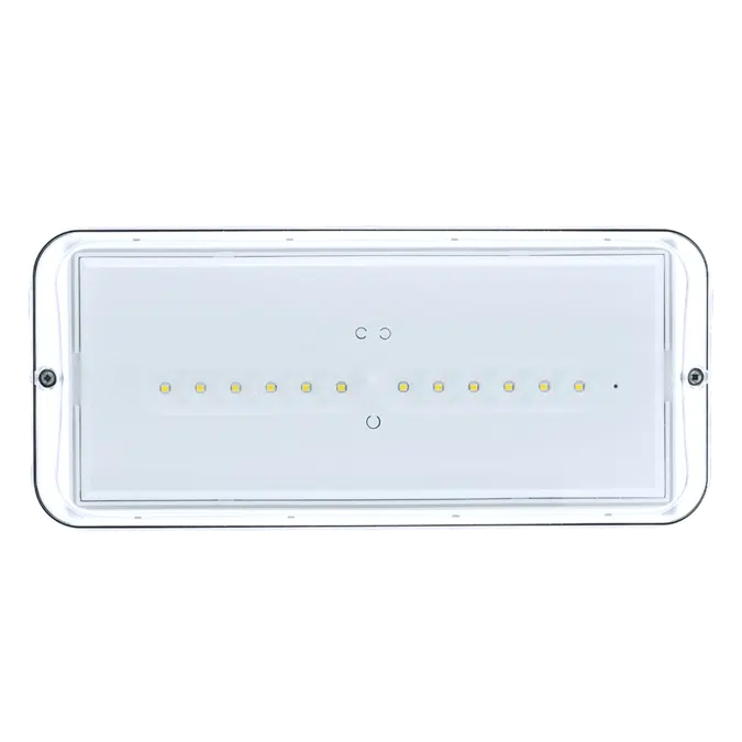 Diana/Xena IP66 emergency lighting