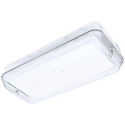 Image for Diana /Xena IP66 EVO10 emergency lighting