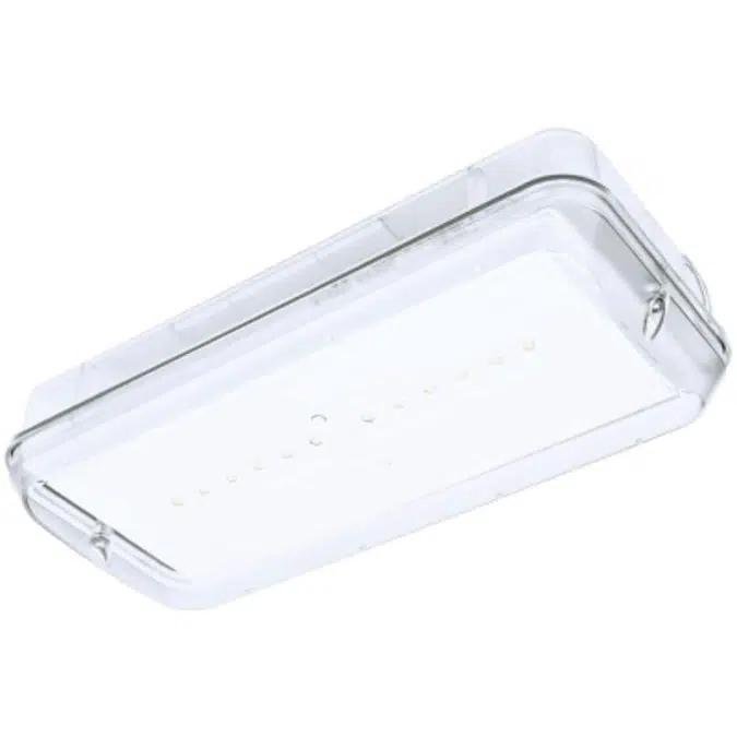 Diana /Xena IP66 EVO10 emergency lighting