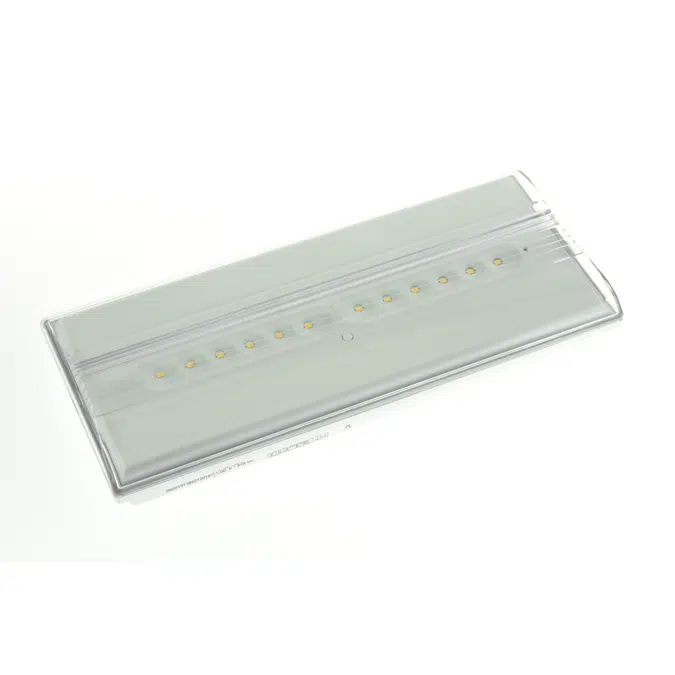 Diana Flat emergency lighting