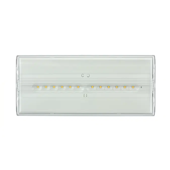 Diana Flat emergency lighting