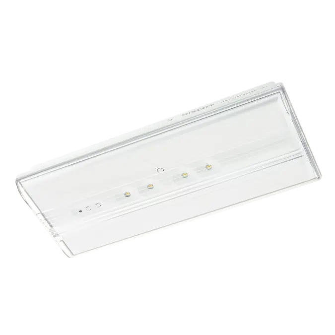 Diana Flat emergency lighting