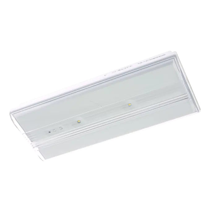 Diana Flat emergency lighting