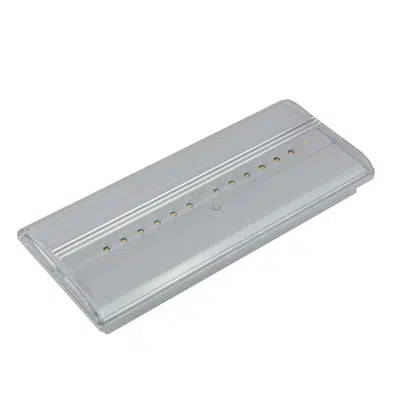 Image pour Diana Flat emergency lighting