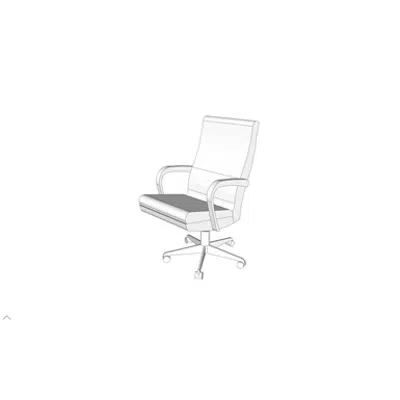 Image pour F0240 - Chair, Executive, Swivel