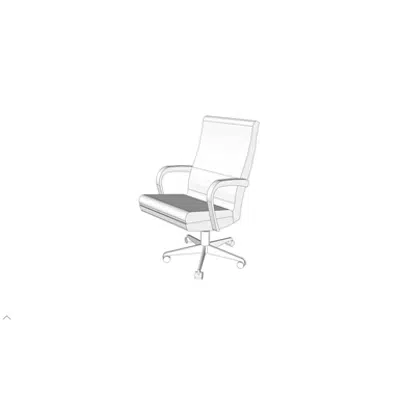 Immagine per F0240 - Chair, Executive, Swivel