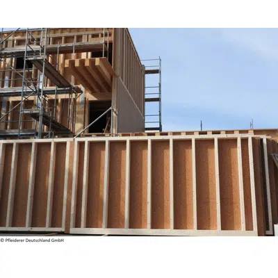 Image for Wood based panel 13 mm: LivingBoard P5