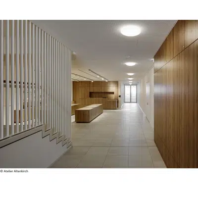 obraz dla Flame retardant, melamine faced chipboard (MFC) 25 mm: DecoBoard Pyroex