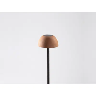 bild för ABSIDIOLA P MINI TERRACOTTA floor lamp