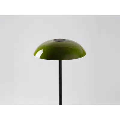 ABSIDIOLA S PLATO GREEN table lamp图像