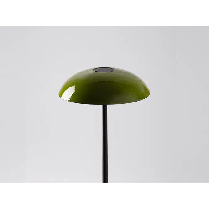 ABSIDIOLA S PLATO GREEN table lamp