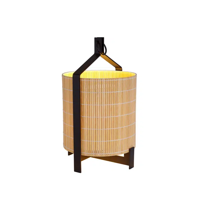 FANAL portable lamp