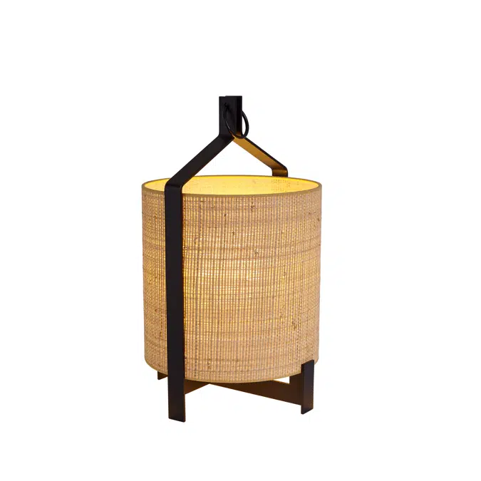 FANAL table lamp