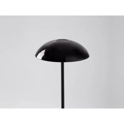 ABSIDIOLA PLATO BLACK floor lamp için görüntü