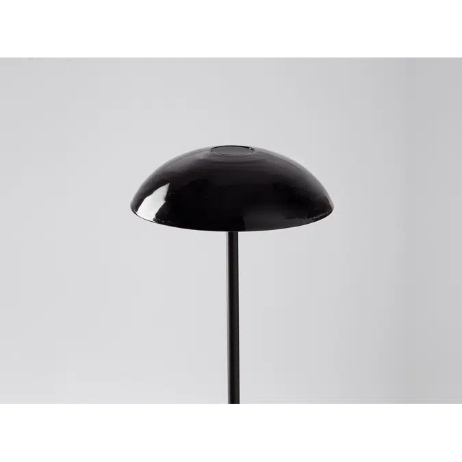 ABSIDIOLA PLATO BLACK floor lamp