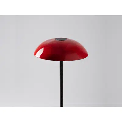 ABSIDIOLA S PLATO RED table lamp图像