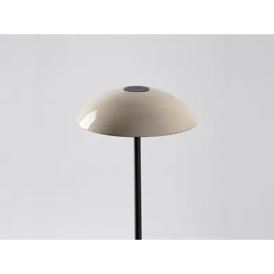 ABSIDIOLA S PLATO BEIGE table lamp图像