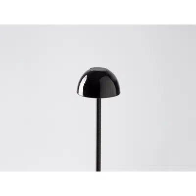 ABSIDIOLA S MINI S BLACK table lamp图像