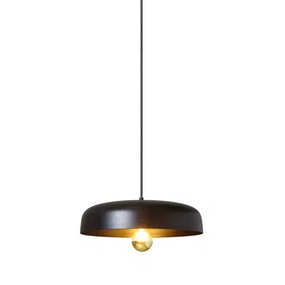 Immagine per BORN hanging lamp