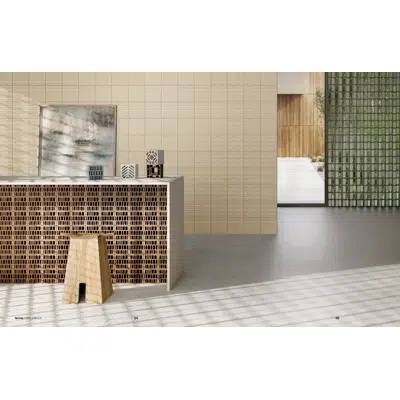 Image for TERRAE