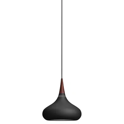 Immagine per Orient™ P2 Pendant