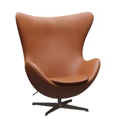 Imagem para EGG™ Lounge chair}