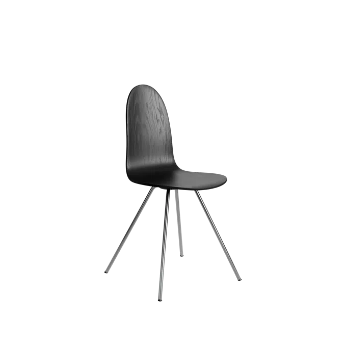 3102 Tongue