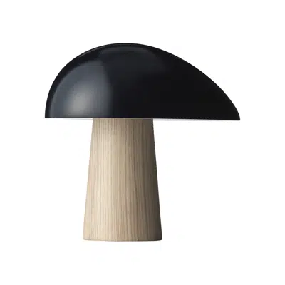 kép a termékről - Night Owl™ Table lamp