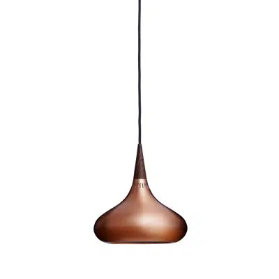 Immagine per Orient™ P1 Pendant