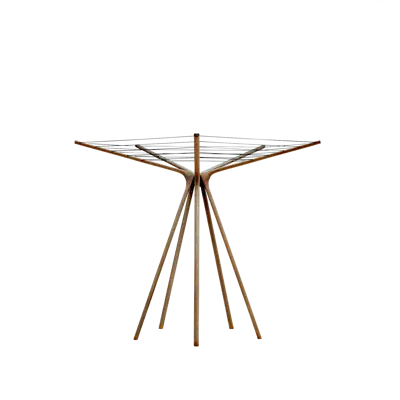 Image pour Spider web
