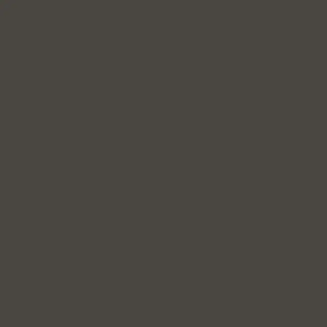 Sherwin-Williams - Sealskin SW7675