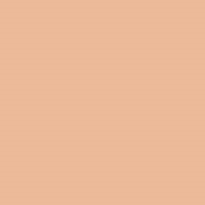 BIM objects - Free download! Paint, Soft Apricot, SW6352 | BIMobject