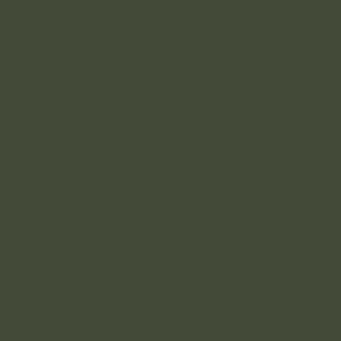 Sherwin-Williams - Ripe Olive - SW6209