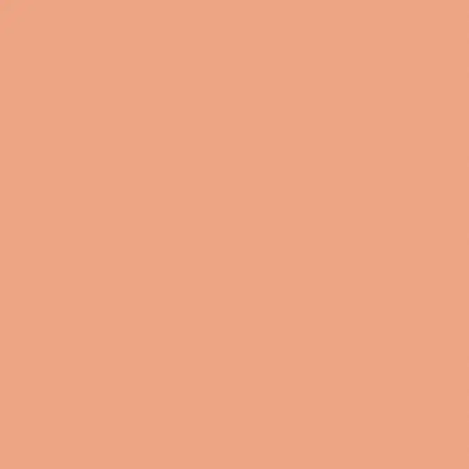 Objetos BIM - ¡Descarga gratis! Paint, Fame Orange, SW6346 | BIMobject