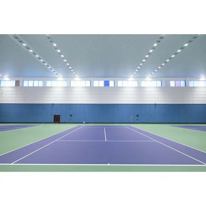 Court LED 350 - LED Architectural & Sports Lighting Fixture