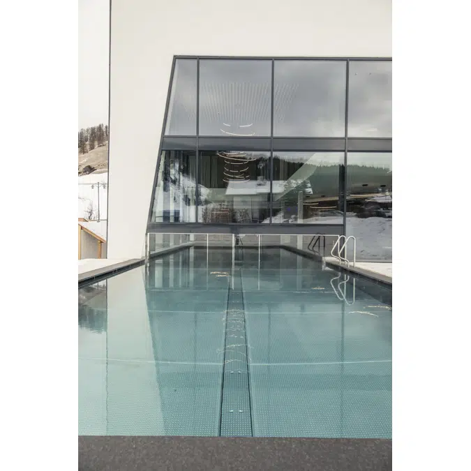 METEK SLIDING POOL DOOR DF2