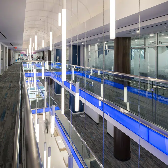 Luminous Cylinders - LC2, LC4, LC6, LC8
