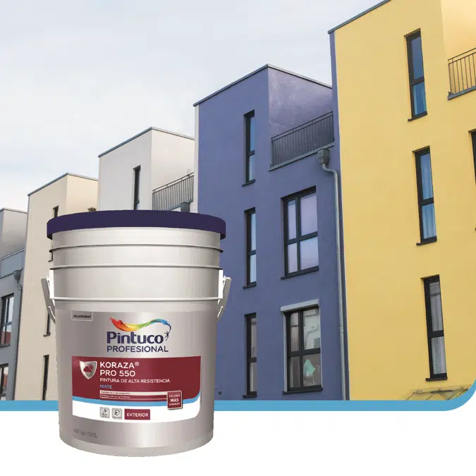 Koraza® Pro 550 Exterior Paint