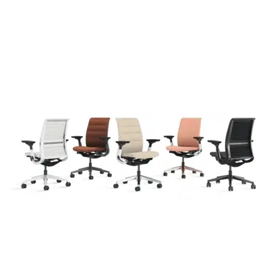 Obrázek pro Think Ergonomic and Adjustable Office Chair