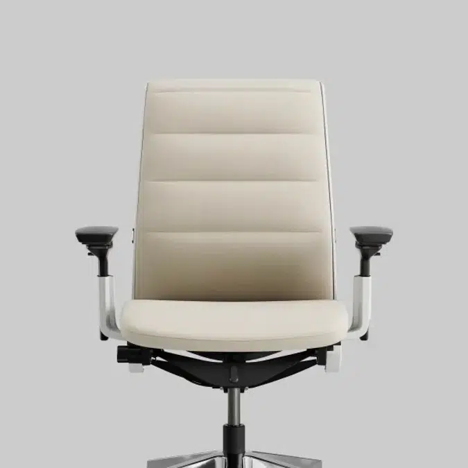 Think Ergonomic and Adjustable Office Chair