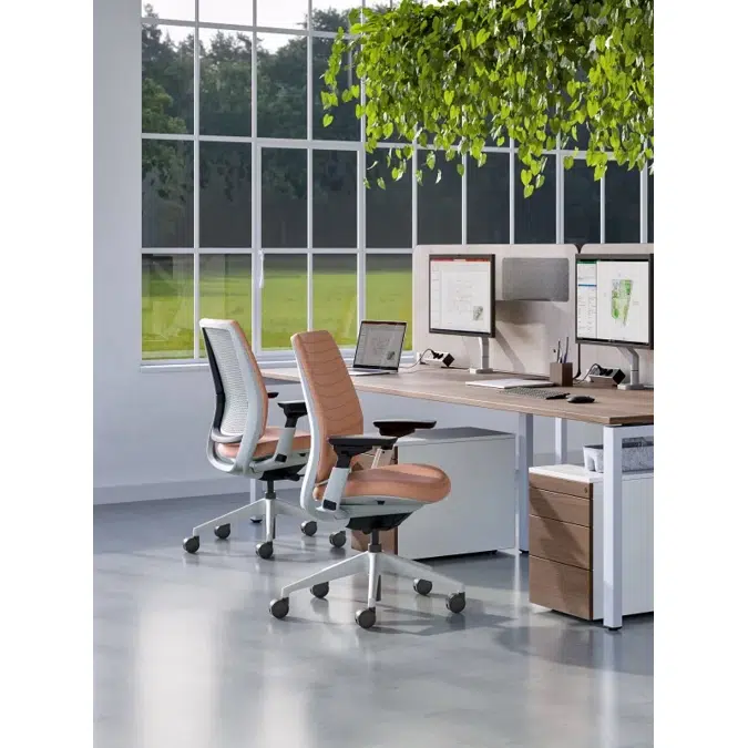 Steelcase Series 2 Ergonomic Task and Office Chair
