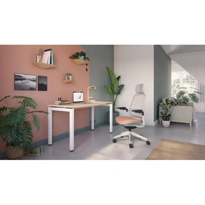 Steelcase Series 1 Ergonomic Work and Office Chair
